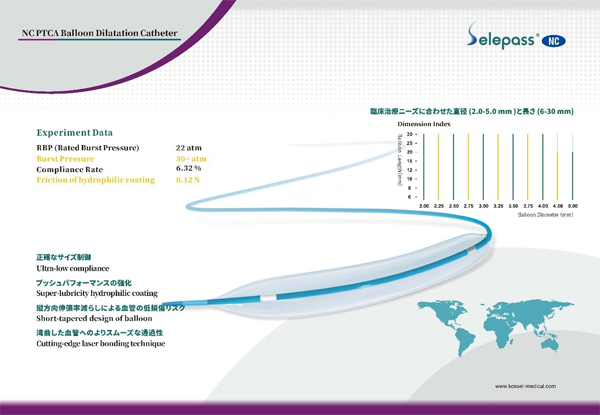 NC PTCA Dilatation Balloon Catheter