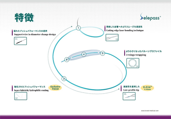 PTCA Dilatation Balloon Catheter