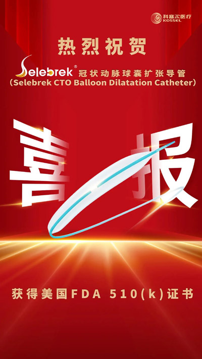 PTCA balloon dilatation catheter