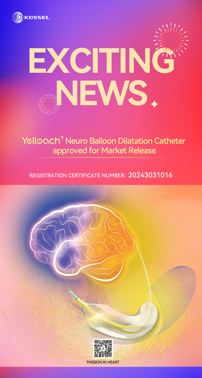 Yelloach®-Neuro-Balloon-Dilatation-Catheter