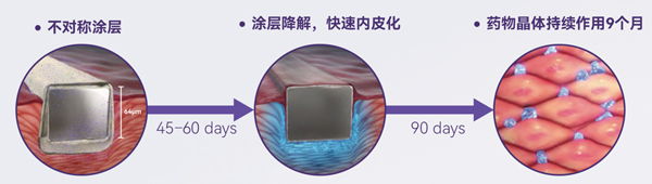 eluting Stent System